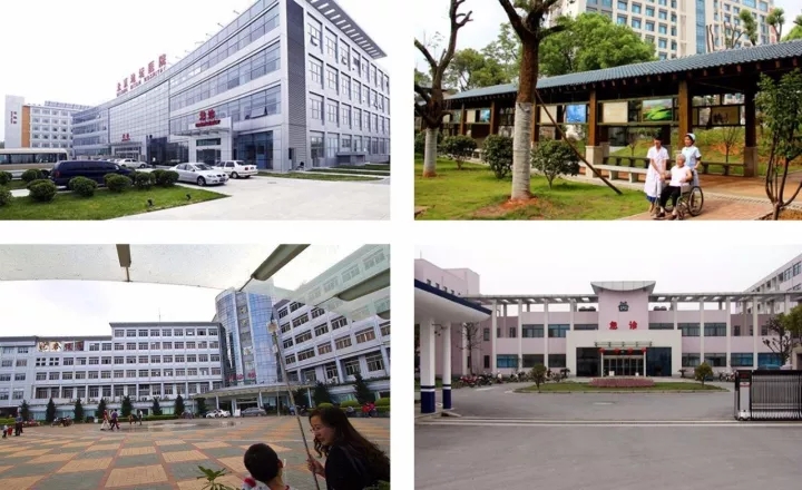 醫療健康(圖6)